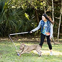 Squishy Face Flirt Pole - Regular (36" pole, 52" cord)