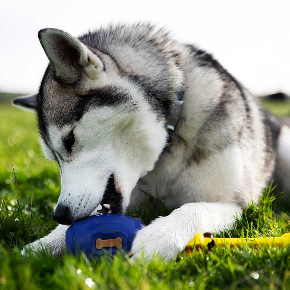 Tuff Stuffer - K9 Connectables Pro Dog Toy