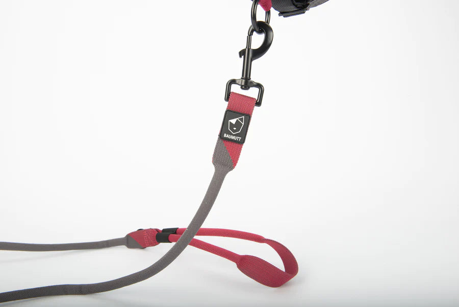 Laxo Leash