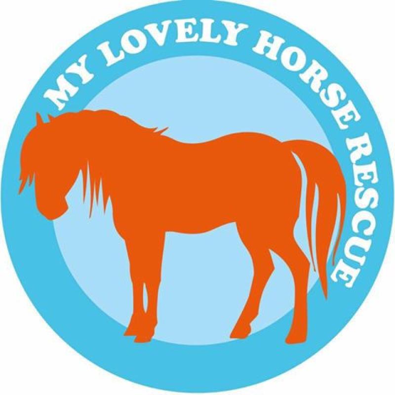 Christmas Raffle in Aid of Wicklow Animal Welfare & My Lovely Horse Rescue **