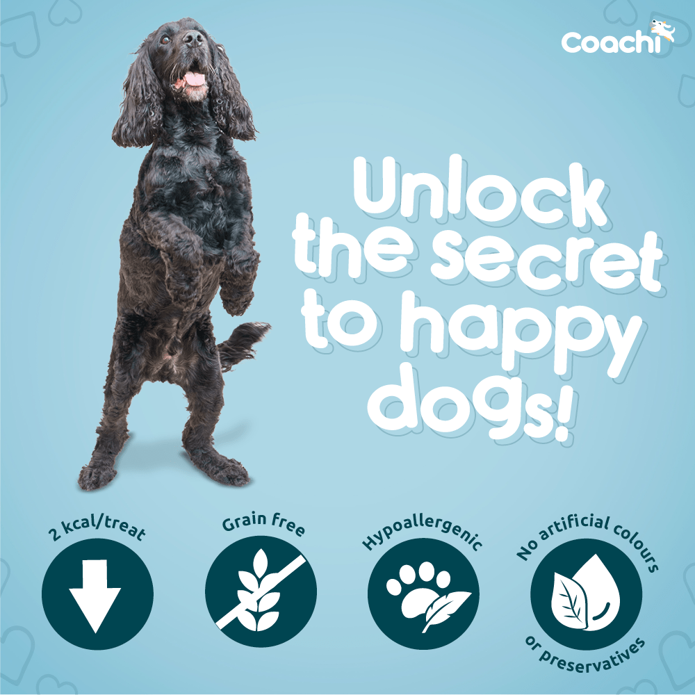 Coachi Puppy - Tasty Chicken and Sweet Potato