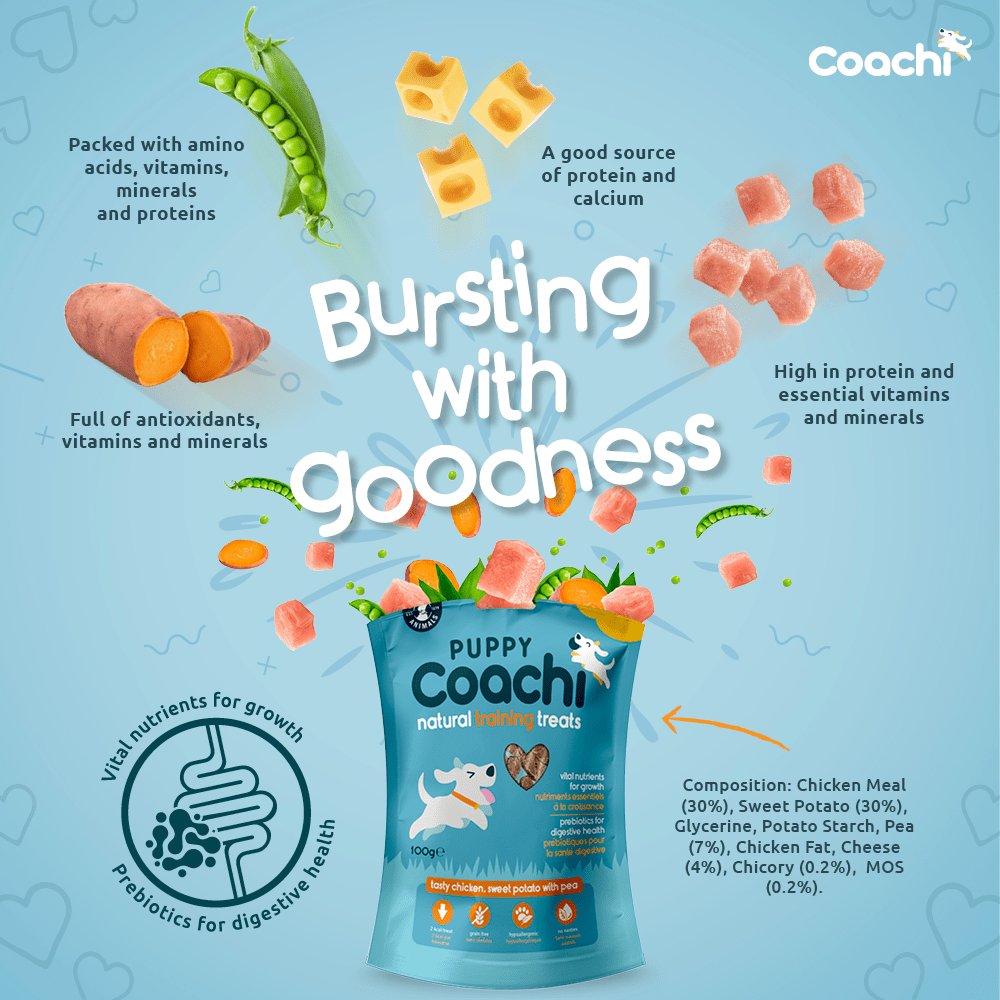 Coachi Puppy - Tasty Chicken and Sweet Potato