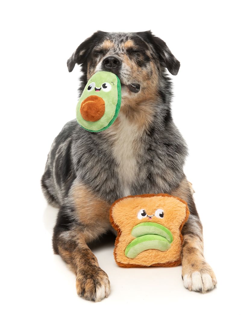 Avocado & Toast 2PK - Dog Toy