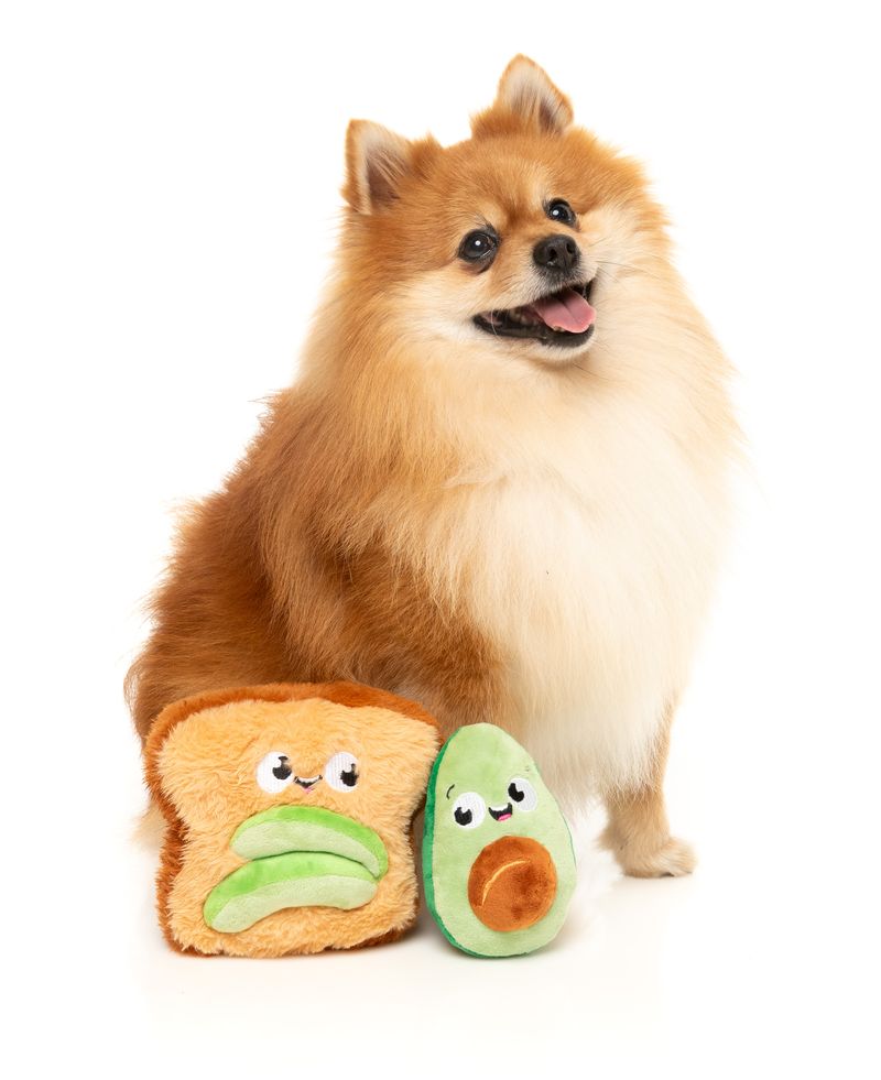 Avocado & Toast 2PK - Dog Toy