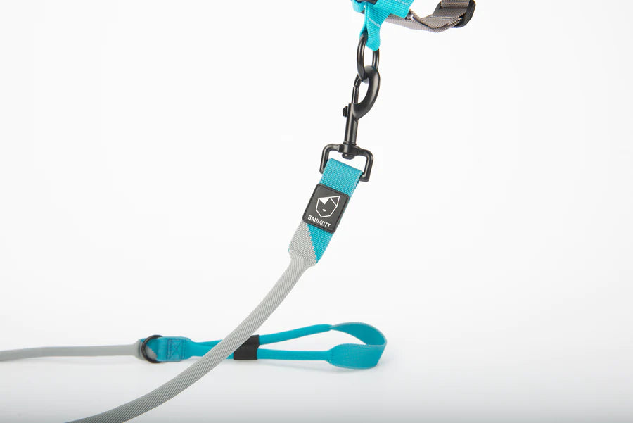 Laxo Leash