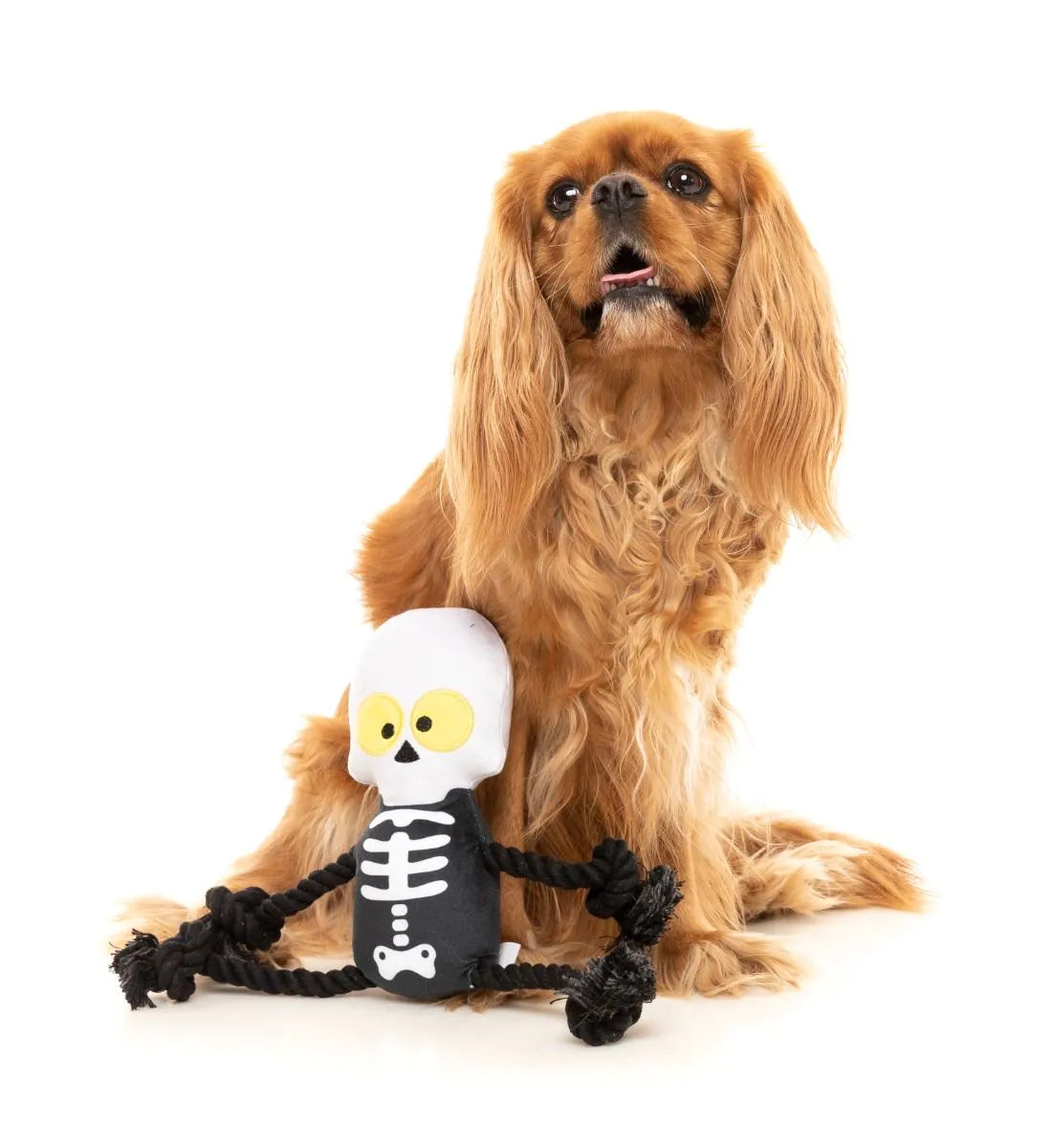 Halloween Collection - Indiana Bones Rope - Dog Toy