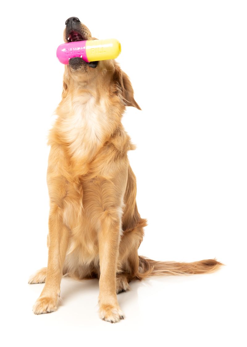 Chill Pill - Interactive Chew Toy