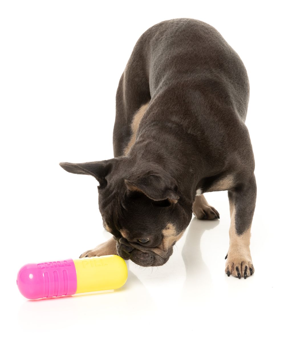 Chill Pill - Interactive Chew Toy