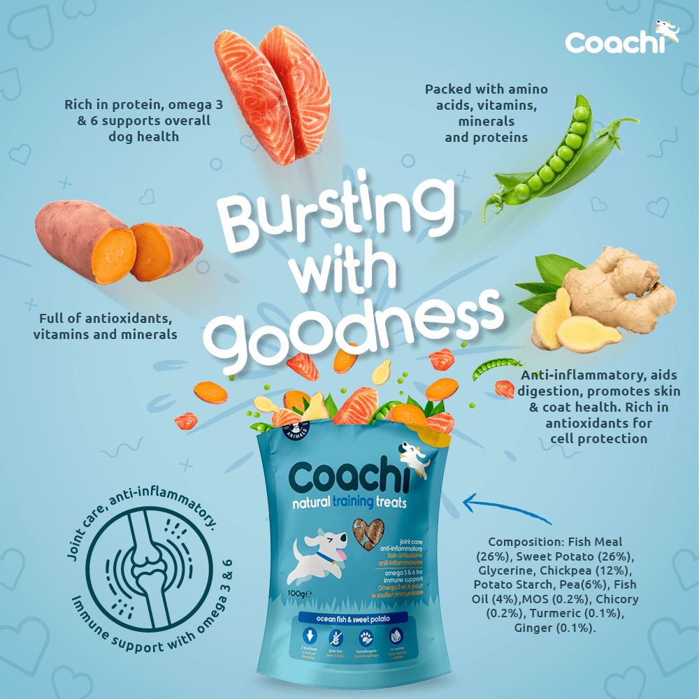 Coachi Ocean Fish & Sweet Potato