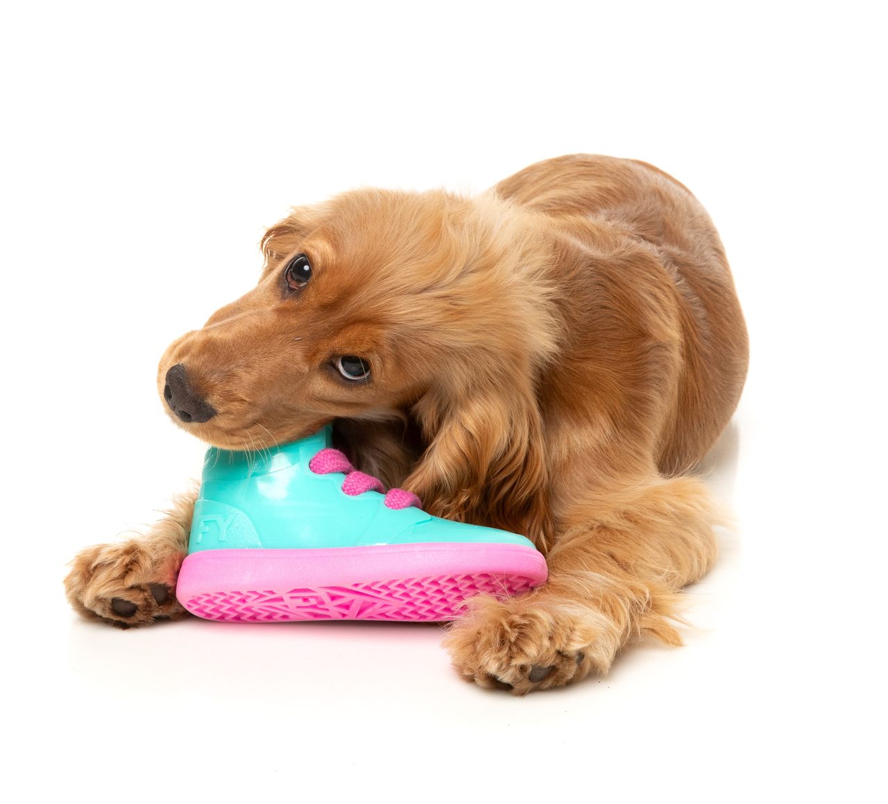 Fresh Kicks 'N' Licks - Interactive Chew Toy