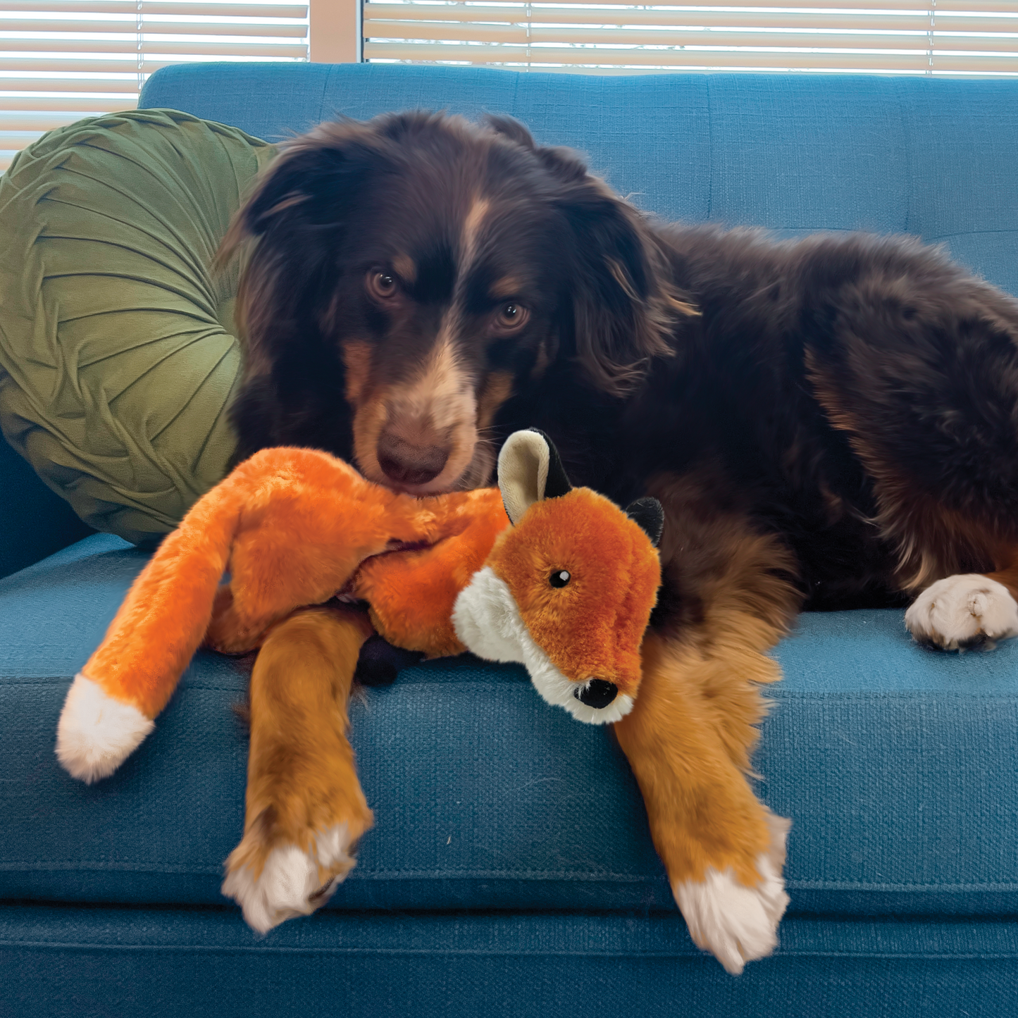 Kong - Low Stuff Fox