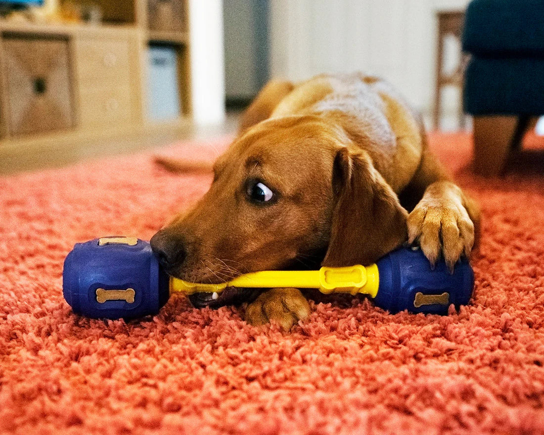 K9 Connectable Puzzle Treats - Chicken & Carrot