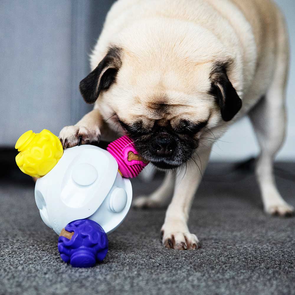 Kibble Connector - K9 Connectables Pro Dog Toy