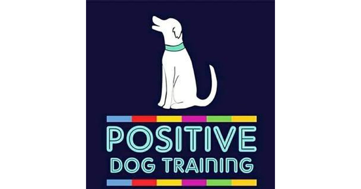 Positive Dog Training: Transform Your Pet's Behavior