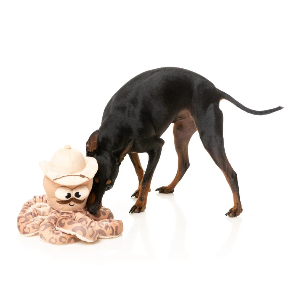 Sir David Octoborough - Fuzzyard Dog Toy