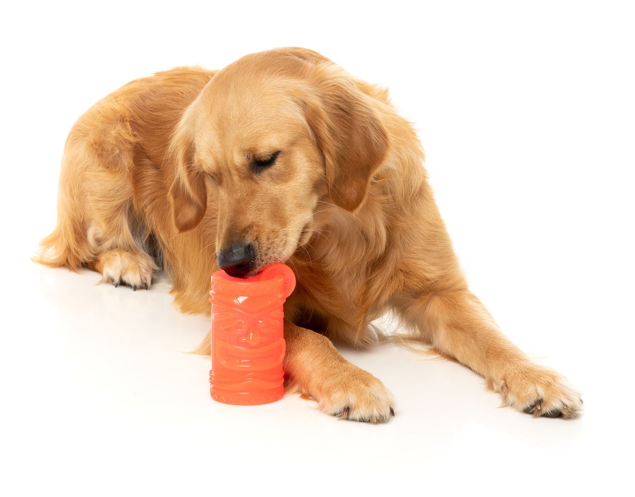 Pina Coolada Freeze - Interactive Chew Toy
