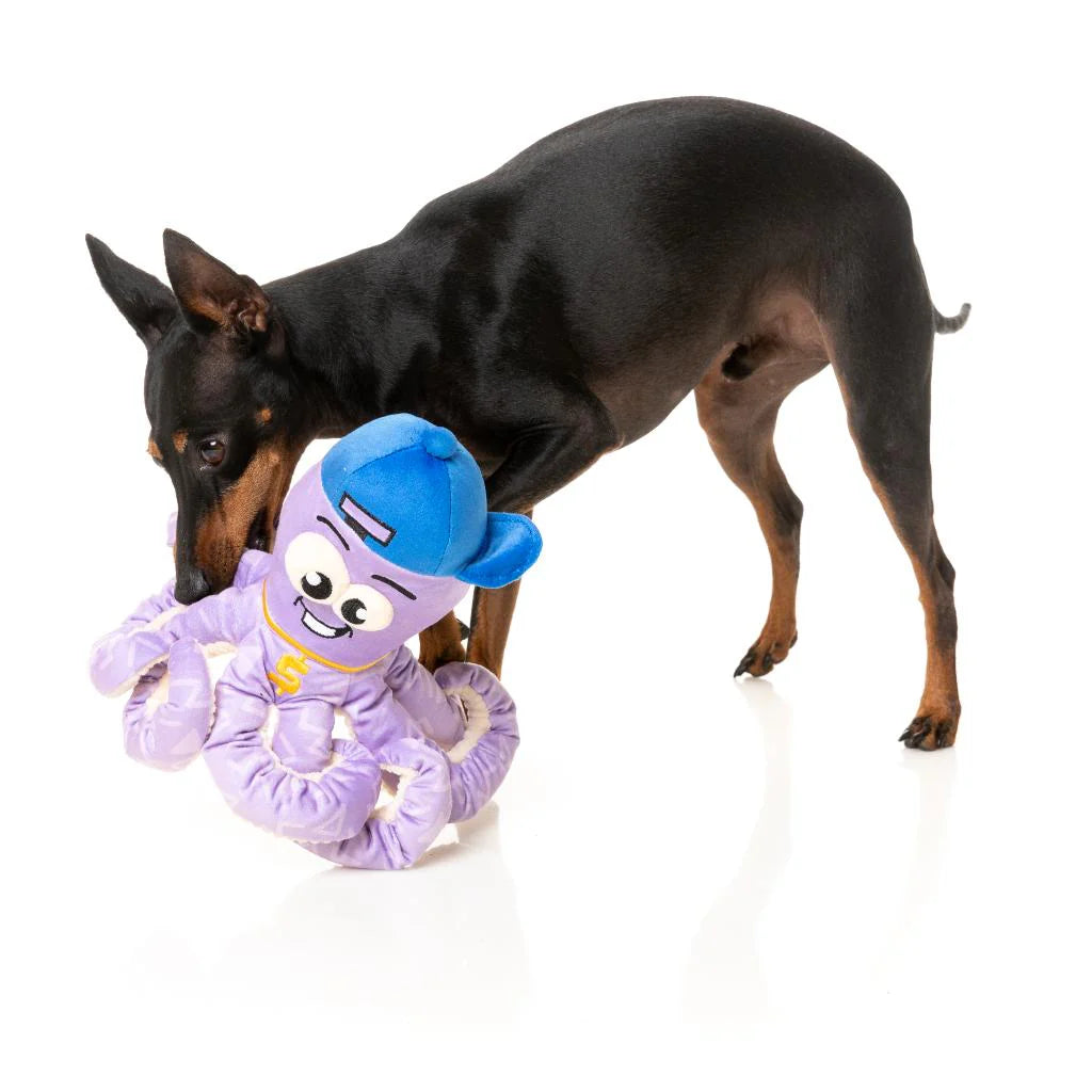 Hip Hoptapus - Dog Toy