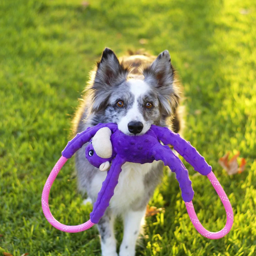 Monkey RopeTugz® – Purple