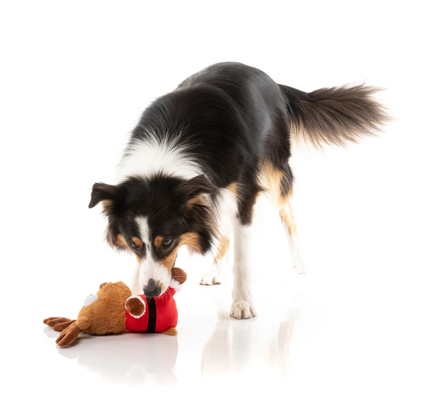 Reggie Claus Reindeer L