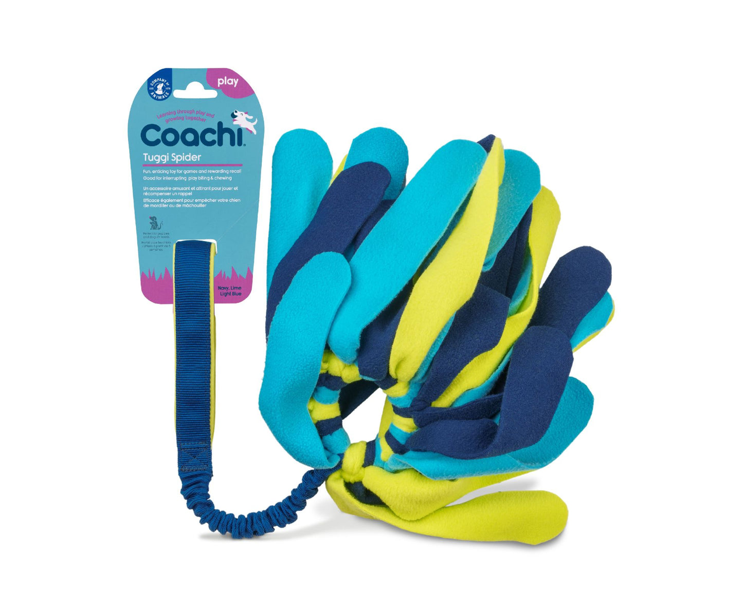 Tuggi Spider - C.O.A