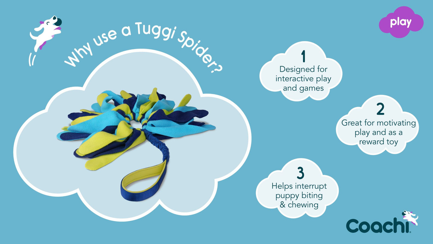 Tuggi Spider - C.O.A