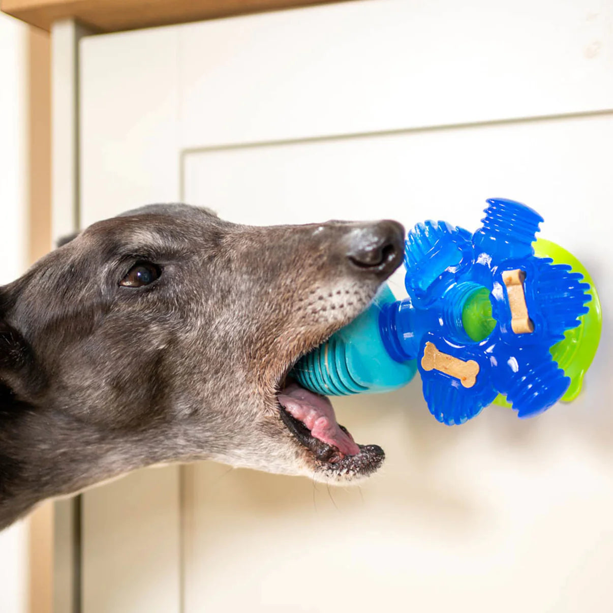 Brain Teaser - K9 Connectables Pro Dog Toy