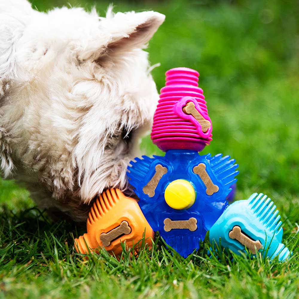 Brain Teaser - K9 Connectables Pro Dog Toy