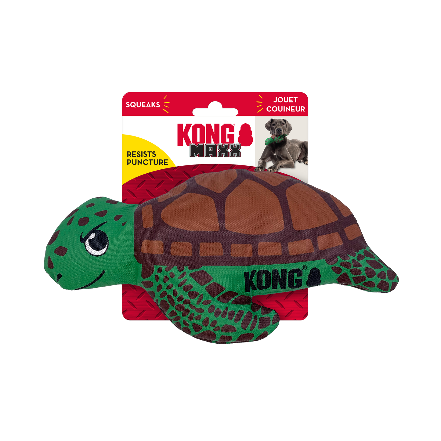 Maxx Turtle