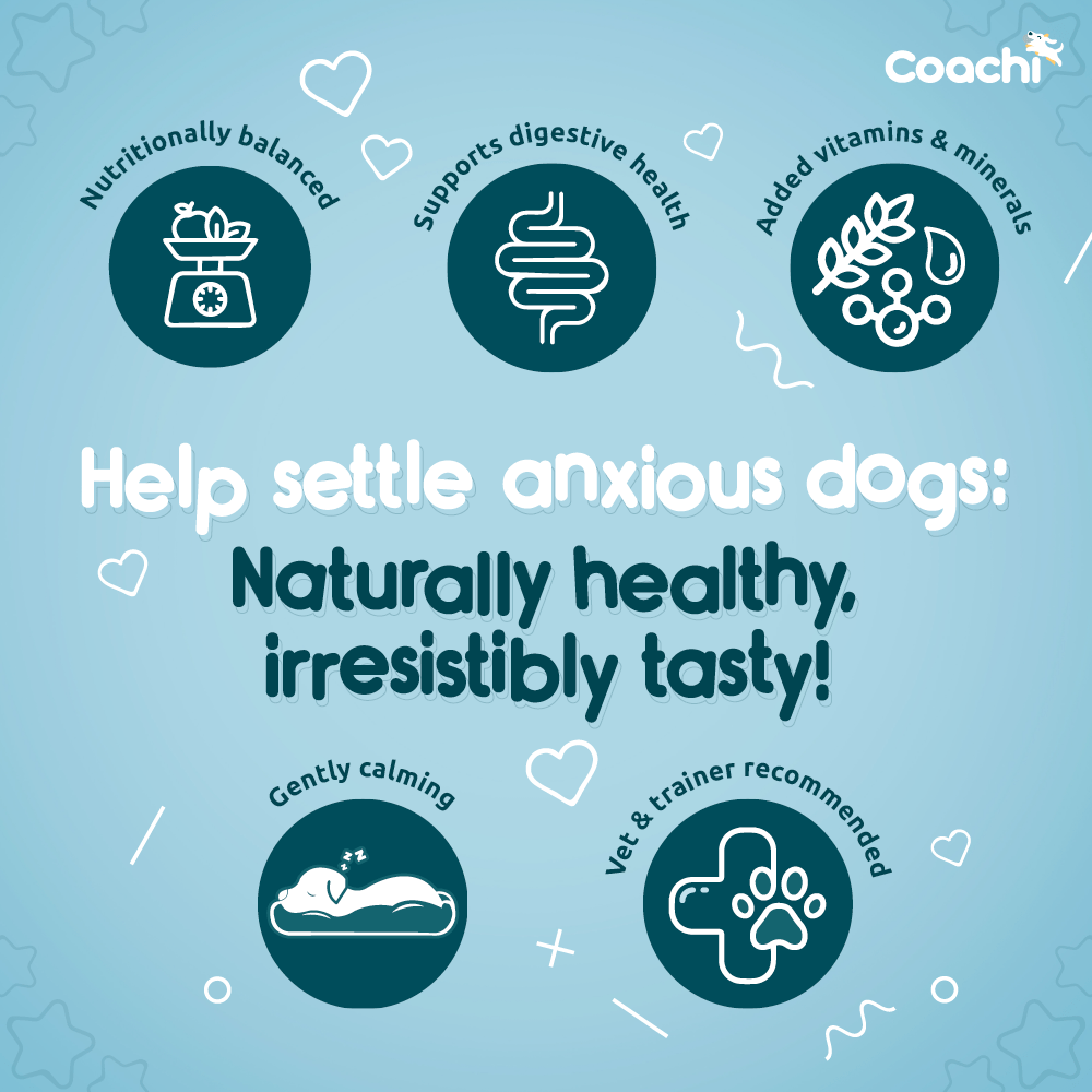 Coachi Natural Calming Treats - Turkey & Sweet Potato