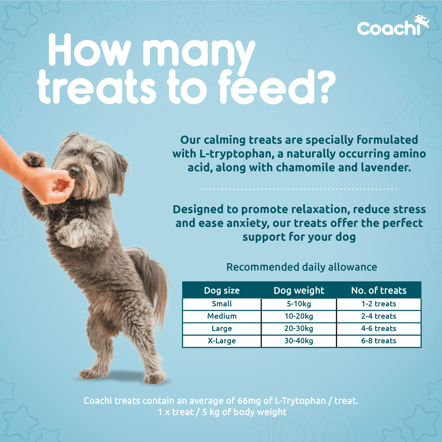 Coachi Natural Calming Treats - Turkey & Sweet Potato