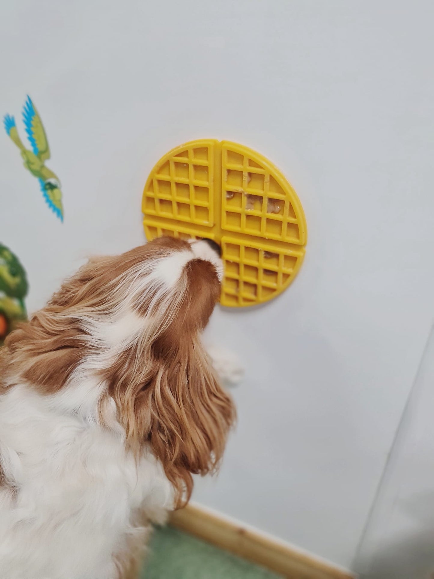 FFP Woofle `Lick Mat