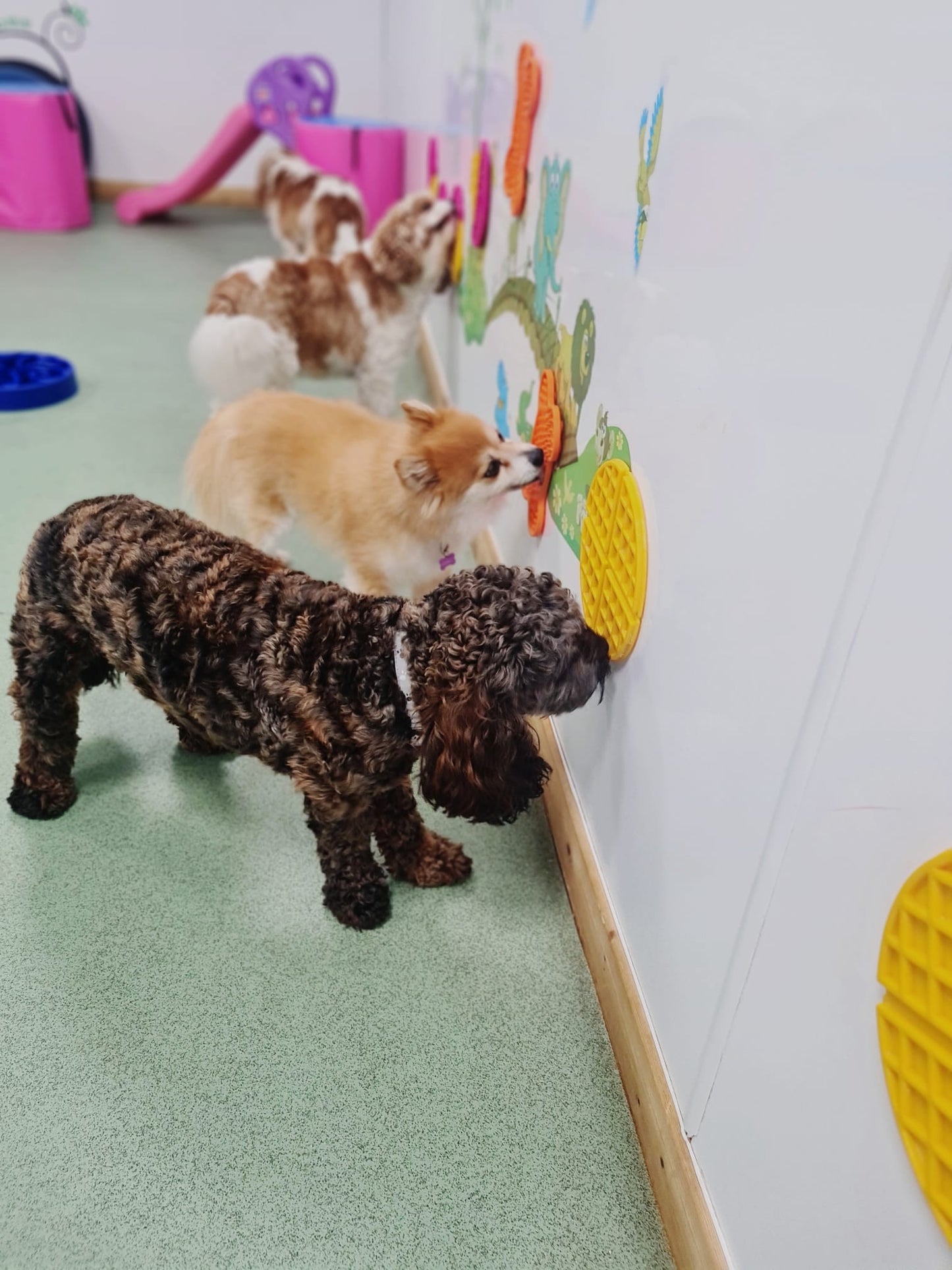 FFP Woofle `Lick Mat