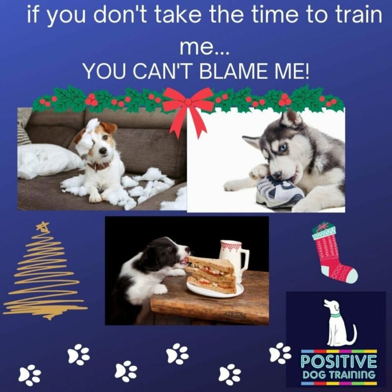 Christmas is coming.....