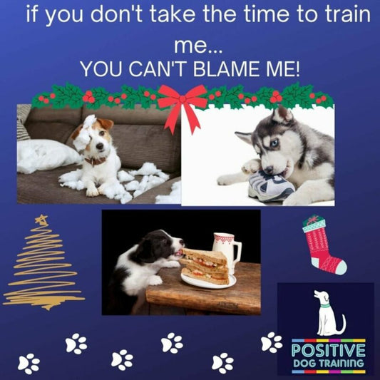 Christmas is coming.....