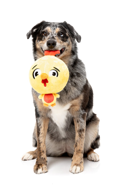 The Noggins - Hen Diesel
