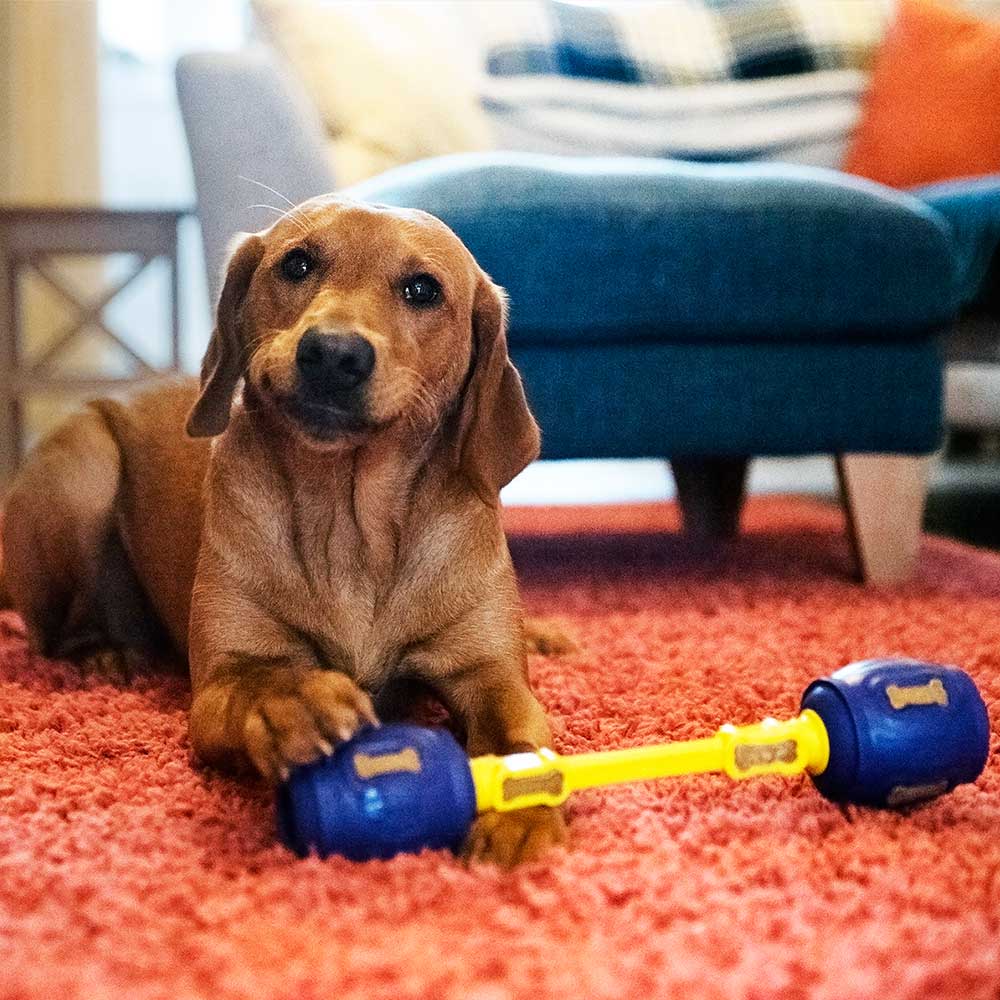 Yes Bone - K9 Connectables Pro Dog Toy