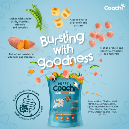 Coachi Puppy - Tasty Chicken and Sweet Potato