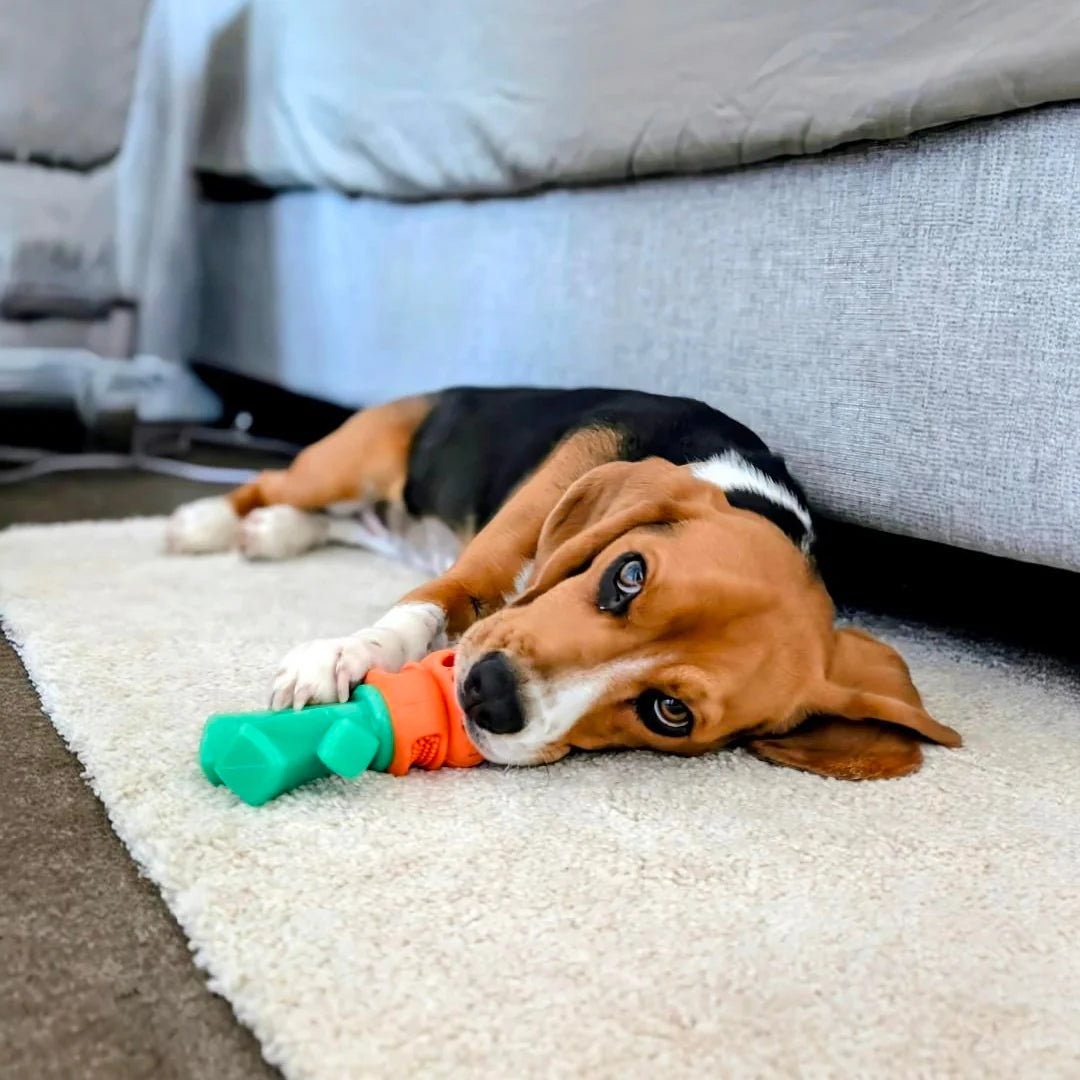 Chomp Carrot - The Happy Staffy Co.