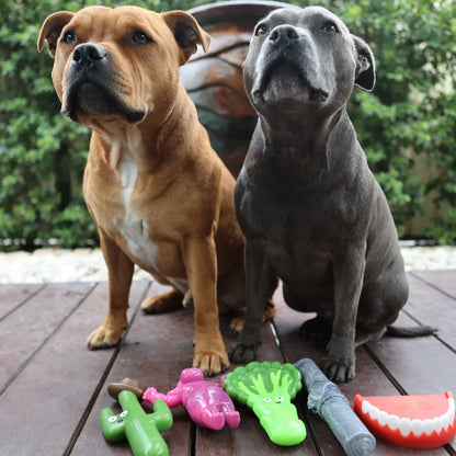 Cactus Cowboy - The Happy Staffy Co.