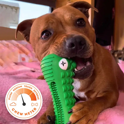 Crocodile Dental Chew - The Happy Staffy Co.