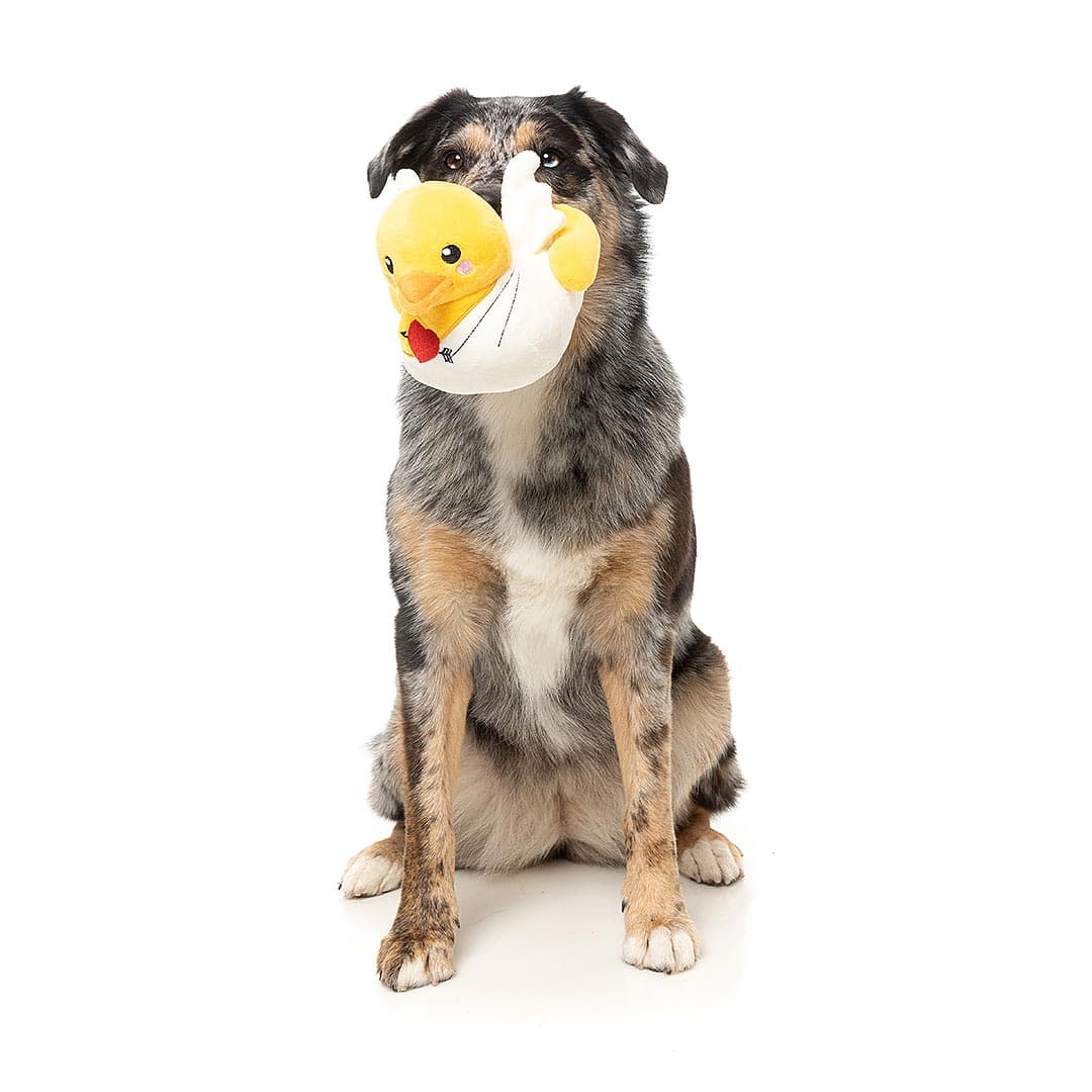 Cupid Duck - Fuzzyard Dog Toy