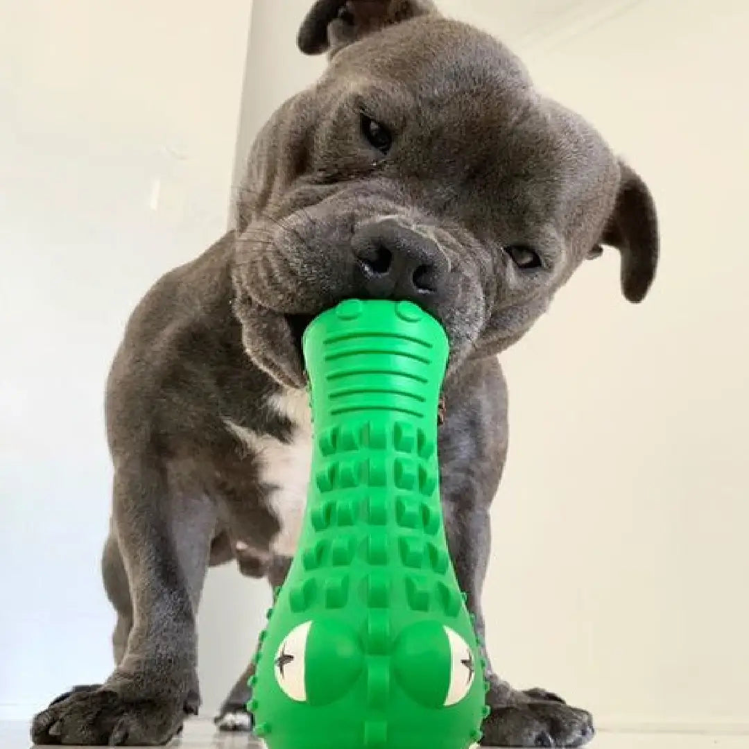 Crocodile Dental Chew - The Happy Staffy Co.