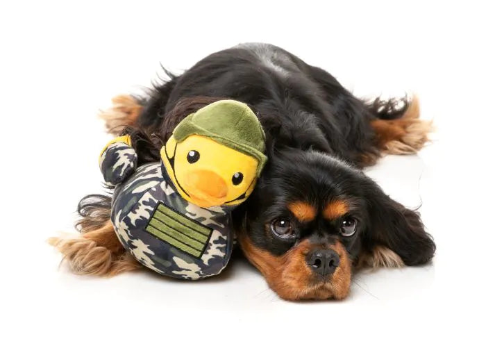 Commanduck - Dog Toy