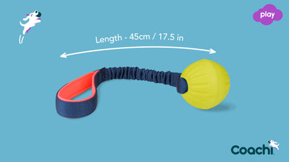 Tuggi Ball - C.O.A