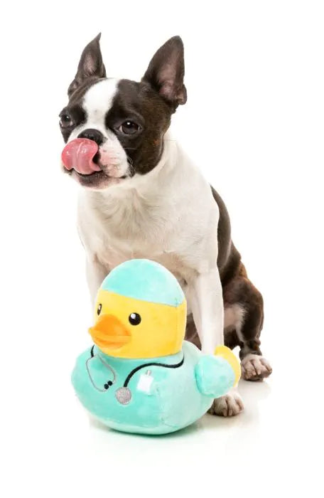 Ducktor - Dog Toy