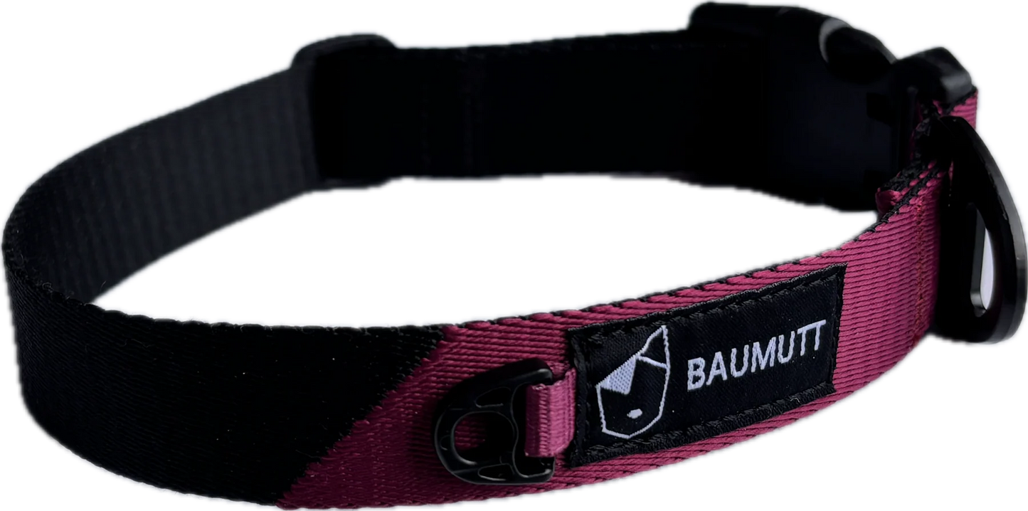 Baumutt Axis Dog Collar