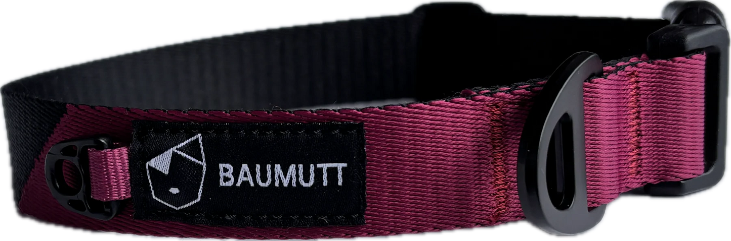 Baumutt Axis Dog Collar
