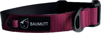 Baumutt Axis Dog Collar
