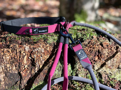 Baumutt Axis Dog Collar