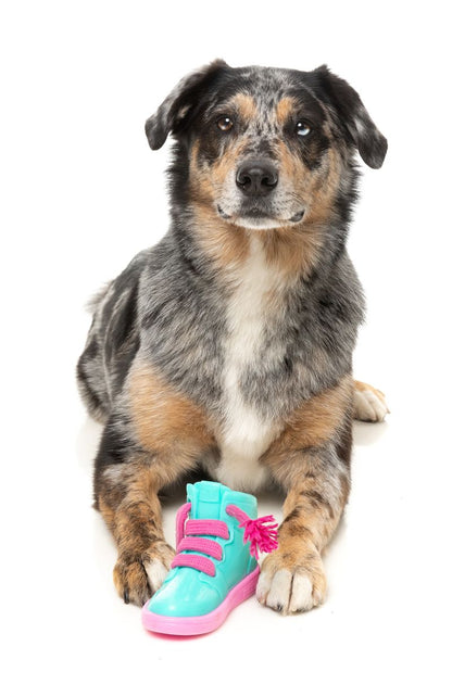 Fresh Kicks 'N' Licks - Interactive Chew Toy
